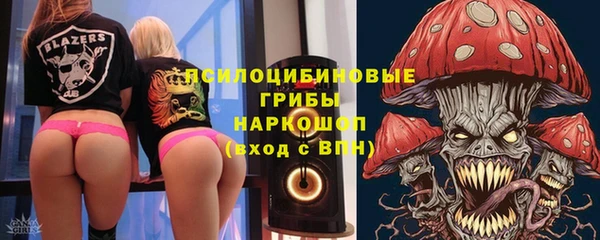 МДПВ Алексеевка