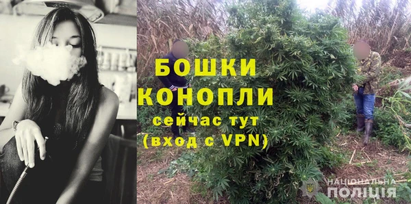 МДПВ Алексеевка